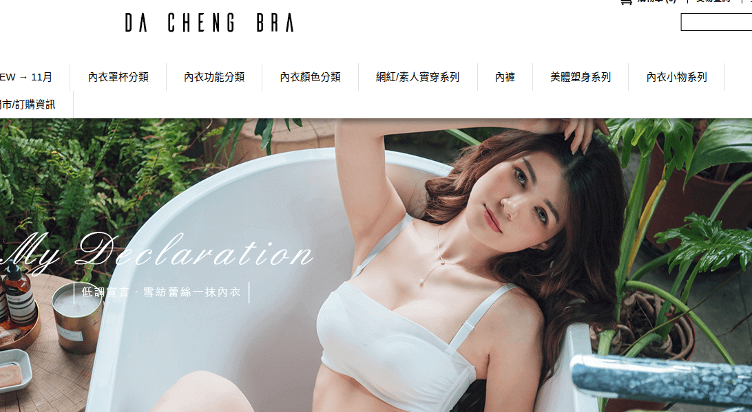 大成內衣